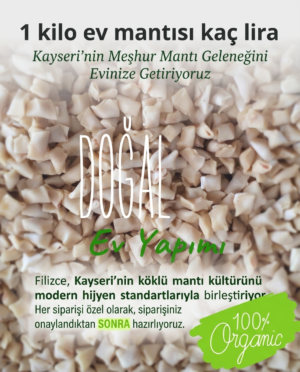 Kayseri Mantısı Fiyatı